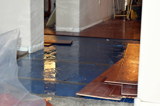 Professional Burst Pipe Cleanup technician working in New London, IA
